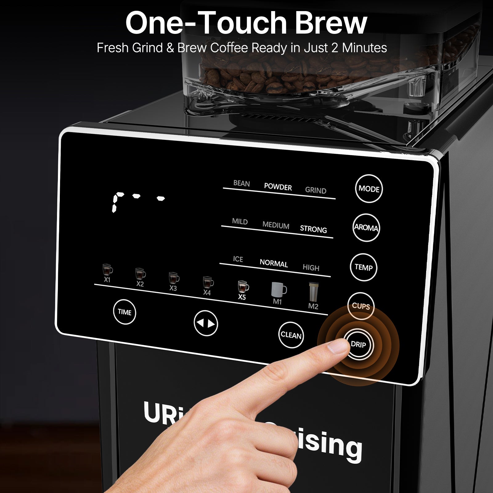 Automatic Drip Coffee Maker with Built-In Grinder & Programmable Timer